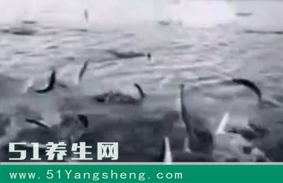 男子朝河中扔下手雷, 下一秒发生的事情令人气愤不已!