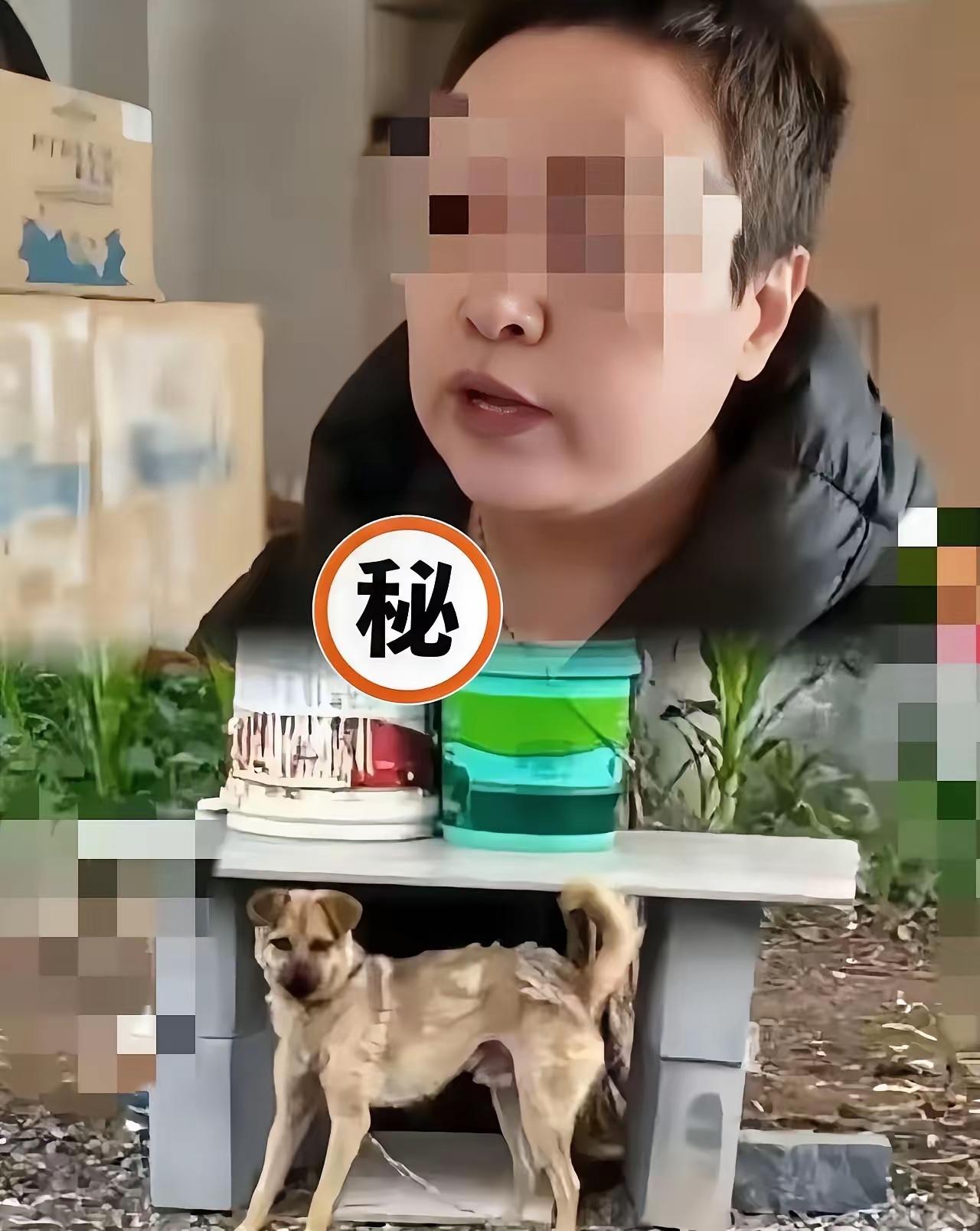 谁懂啊！长治狗咬人案的三个疑点，越想越让人琢磨不透！本是邻里间的宠物纠纷，最