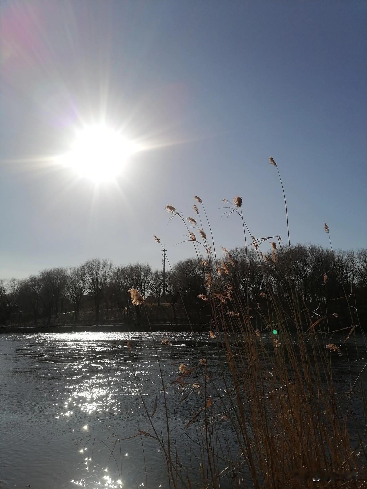 昨天去图书馆看书，当看到四大名著时，拿起一本《红楼梦》，坐下来慢慢品读。记得大学