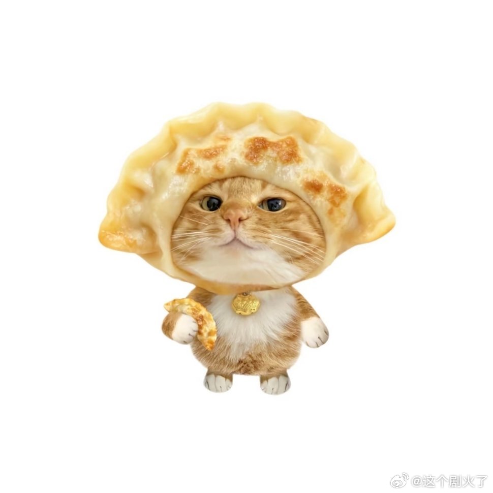 是小猫咪啊~