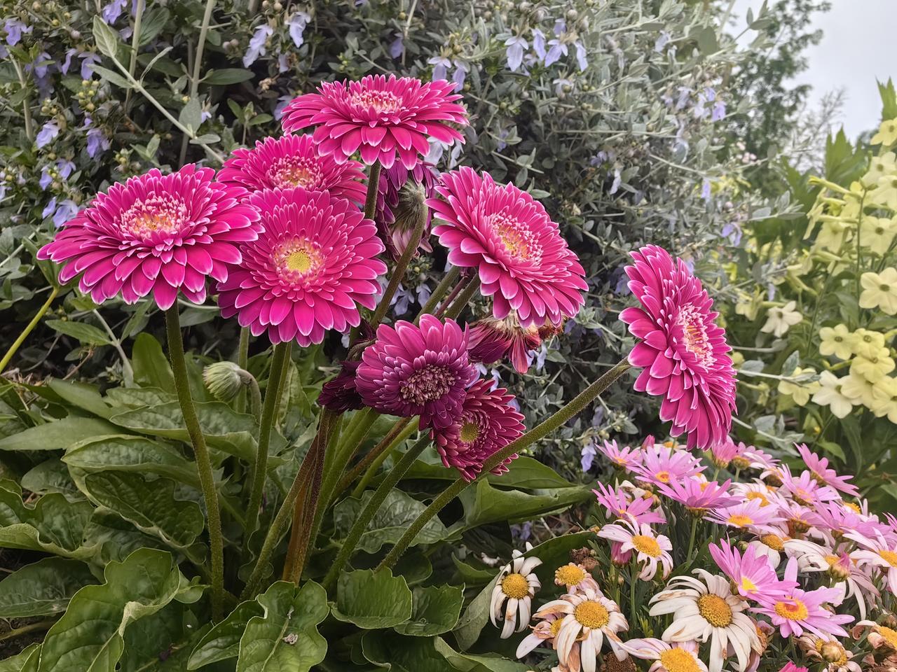 重要消息，锐翔智能申购结果出来了！刚得知锐翔智能申购结果，朋友用740