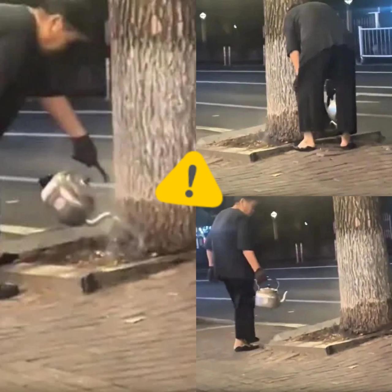 家人们快看！沈阳这大妈也太离谱了！连续两周晚上提壶“浇水”，邻居还夸她热心