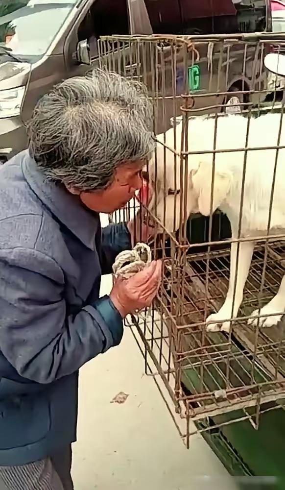 在新余的一个狗市上，男子看到这个老奶奶把养了3年的狗狗“毛毛”，卖到了狗肉车上，