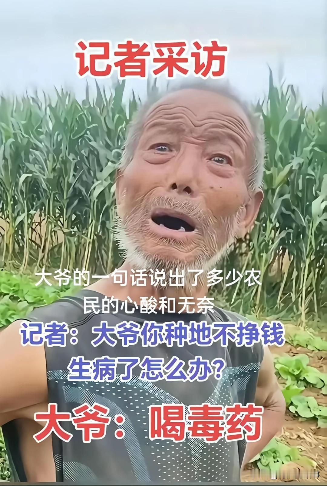 今天看个视频，农民苦不苦只有农民知道，我作为农民的儿子深刻能了解到视频中老人说的