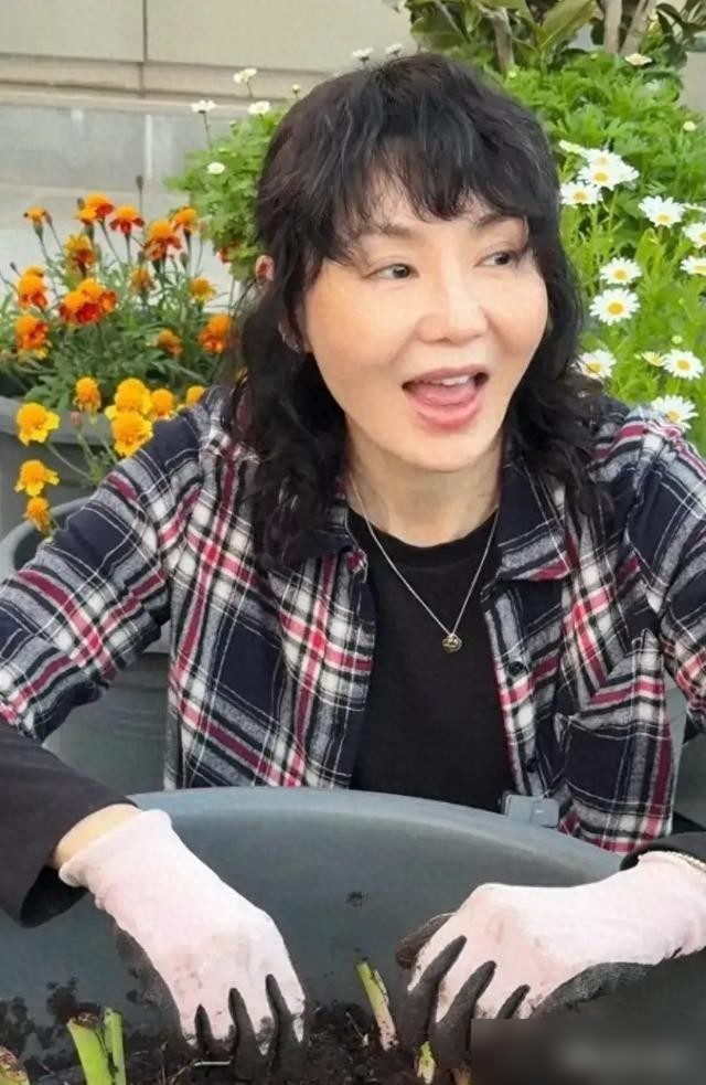 61岁的张曼玉把自家豪宅的阳台改成小菜园，亲手下地挖芋头，手上沾满泥土。昔日风华绝代的影后，一头随性