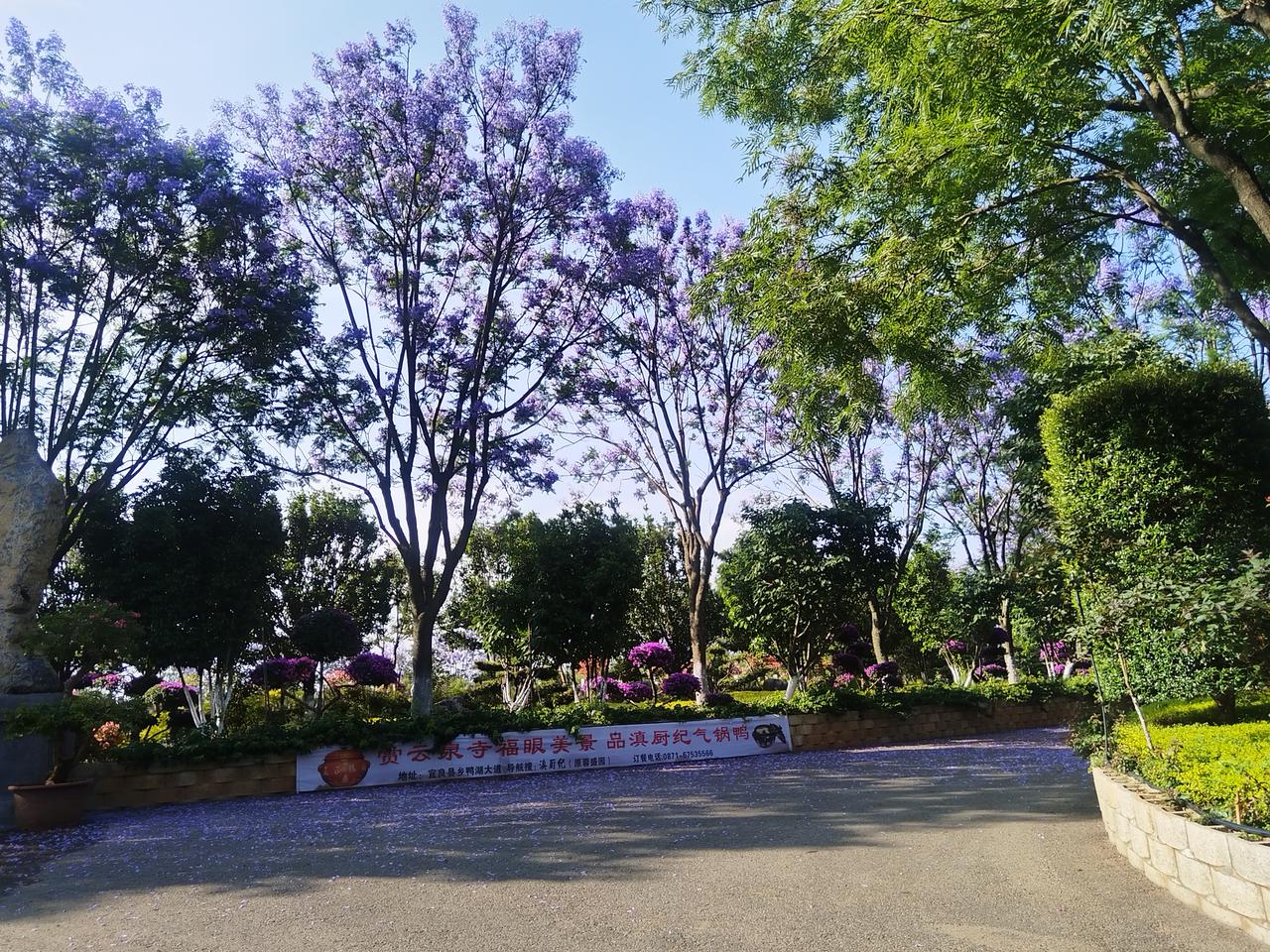 美丽的风景