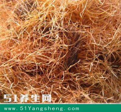用玉米须泡水喝, 胜10副药, 30天后身体有神奇的改变!