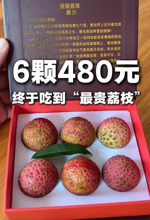 网友表示买到“最贵荔枝”！一盒区区6颗，标价整整480块，平均一颗80