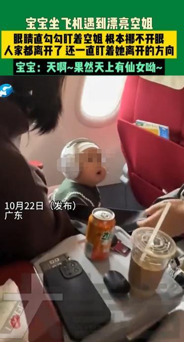 “笑不活了!”10月22日,广东,一小宝宝坐飞机时遇到漂亮空姐,眼睛都看直了,空