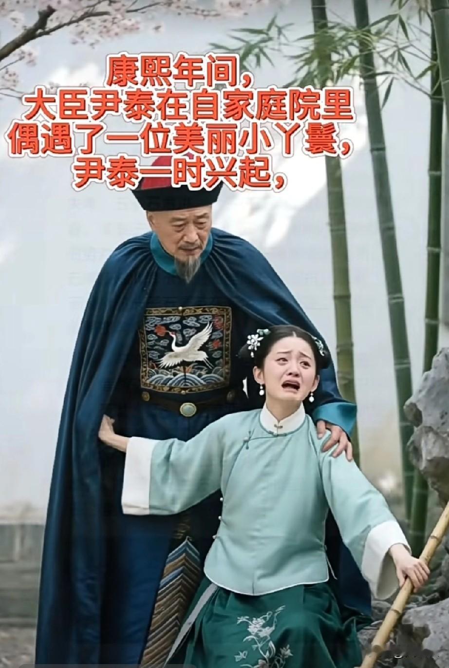 母凭子贵这个丫鬟生了个非常牛逼的儿子康熙年间，大臣尹泰在自家庭院里偶遇了一