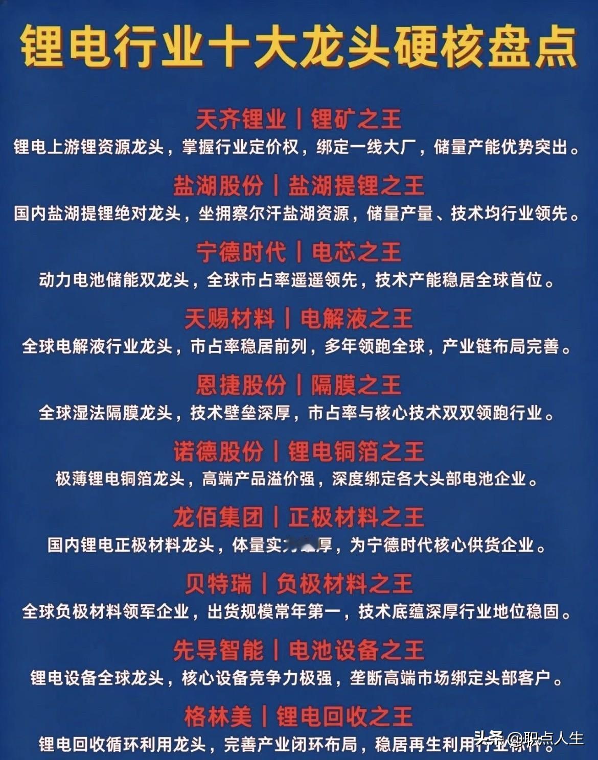 锂电池行业10大龙头硬核盘点