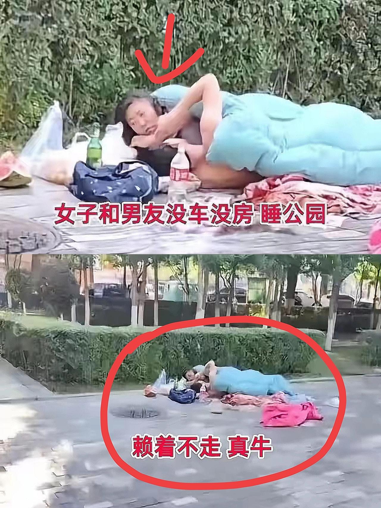 你敢信？这么冷的天，一对情侣没穿衣服在公园里睡觉，而且睡了几天了，我就纳闷了，