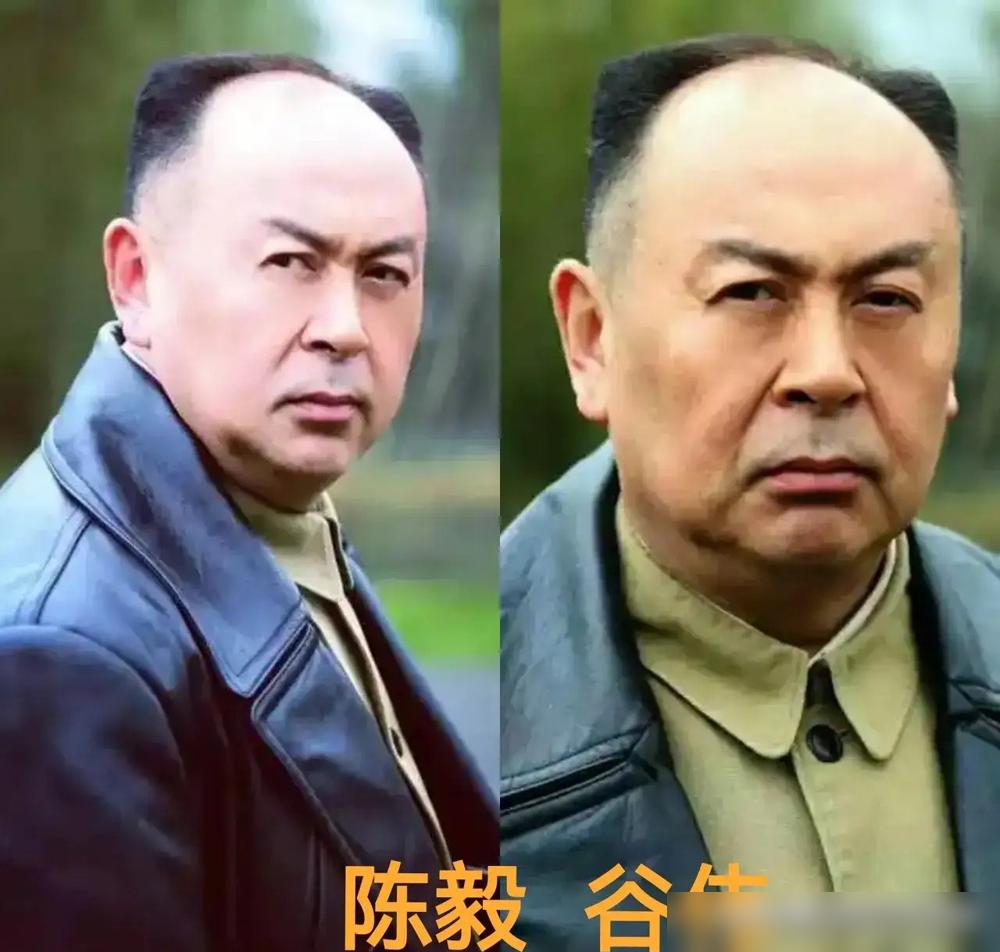 张嘉译演陈毅，元帅的亲儿子陈昊苏都公开说：刚开始，真不适应，不像！你打开电视