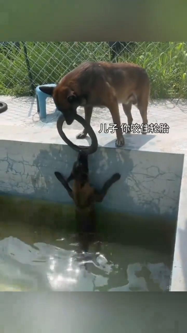 儿子你咬住轮胎。