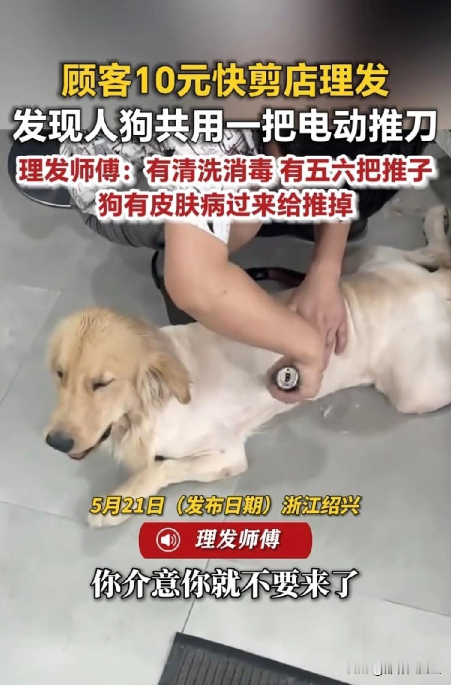 想钱想疯了？网友曝10元快剪店人狗共用推刀，店主竟怒怼：介意你就别来！10