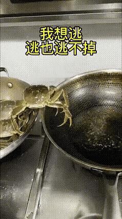感觉要是后面的兄弟帮他一下，这只螃蟹是可以逃出来的[？？？]
