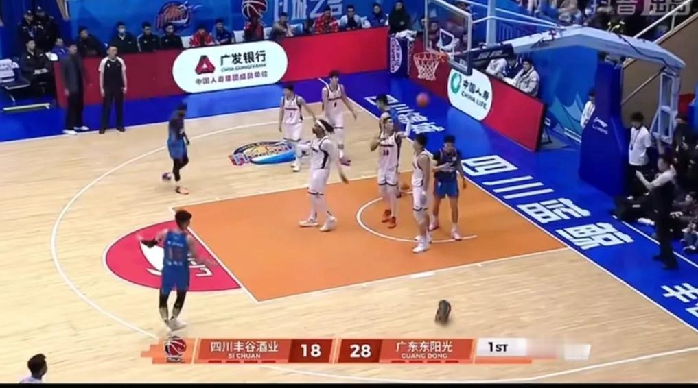 广东客场对四川比赛，场上发生花絮，一只花猫龙行虎步进入场内，这是从来没有过的。