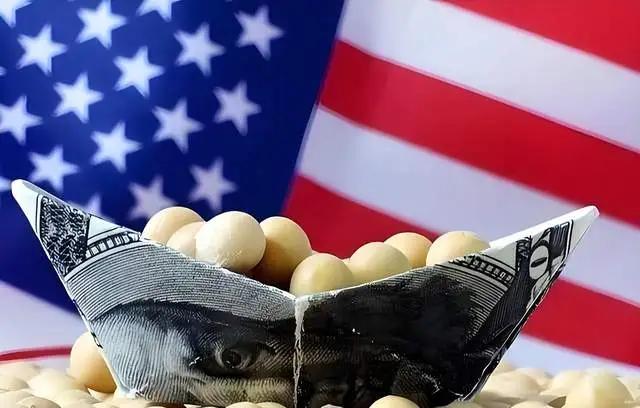 最近，巴西大豆可真是摊上大事了！原本靠着给咱们中国卖大豆，巴西农民和出口商赚