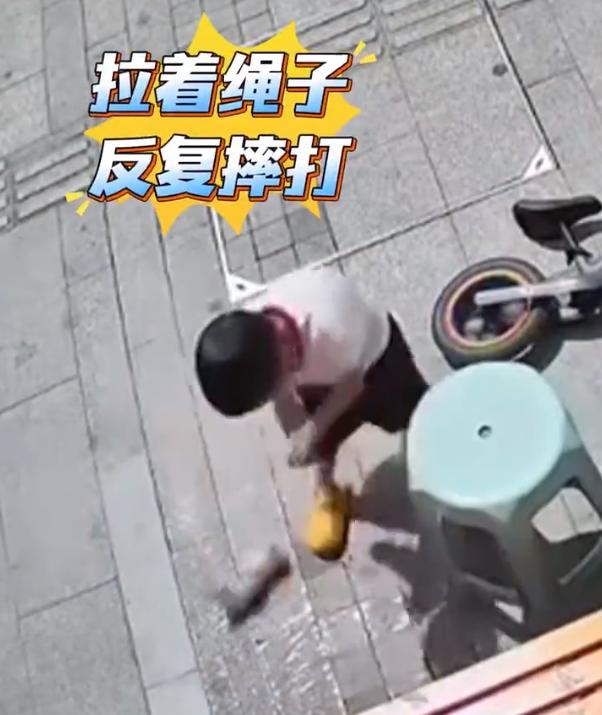 看的心疼！辽宁，一店家把刚出生不久的小奶猫拴在门口晒太阳，可等她出来查看时，发现