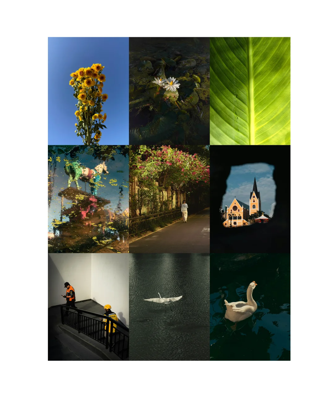 当我爱上摄影之后