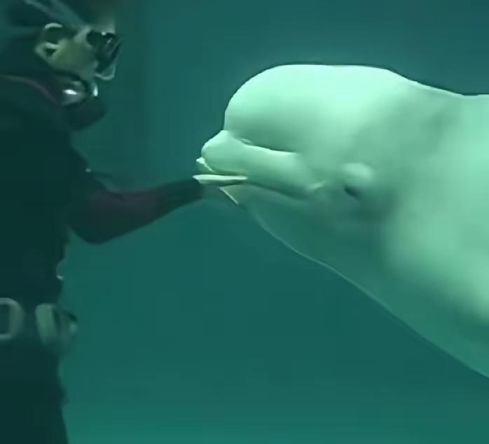 你觉得幸福应该是什么样的个人觉着幸福就是忙碌一天回到家中老婆做好饭孩子亲切叫父亲