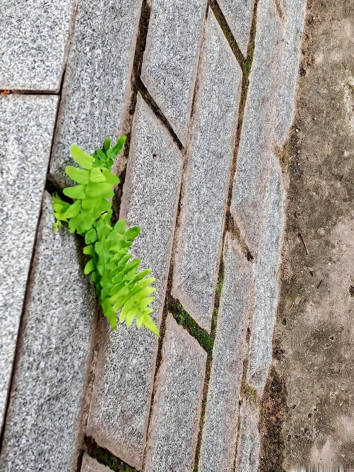 命都是越算越薄的，你看见哪个好人会去算命？但凡去算命的人我又梦见别人家盖新房了