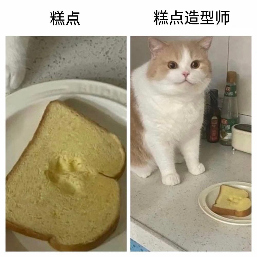 干得不错小咪