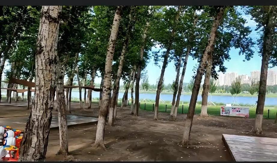 沈腾真的太有梗了，一出场就自带笑点，不用刻意讲笑话，一个表情、一个动作，就能让人