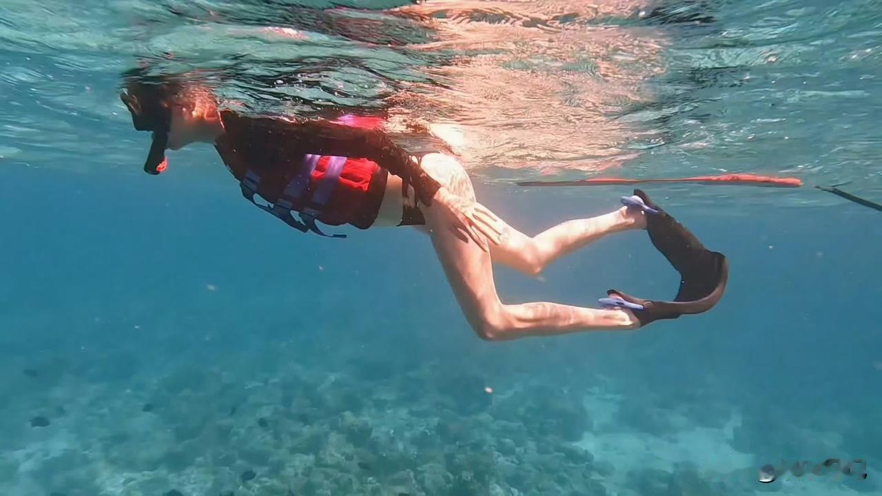 关晓彤x潜水🤿～顶级美腿一览无遗