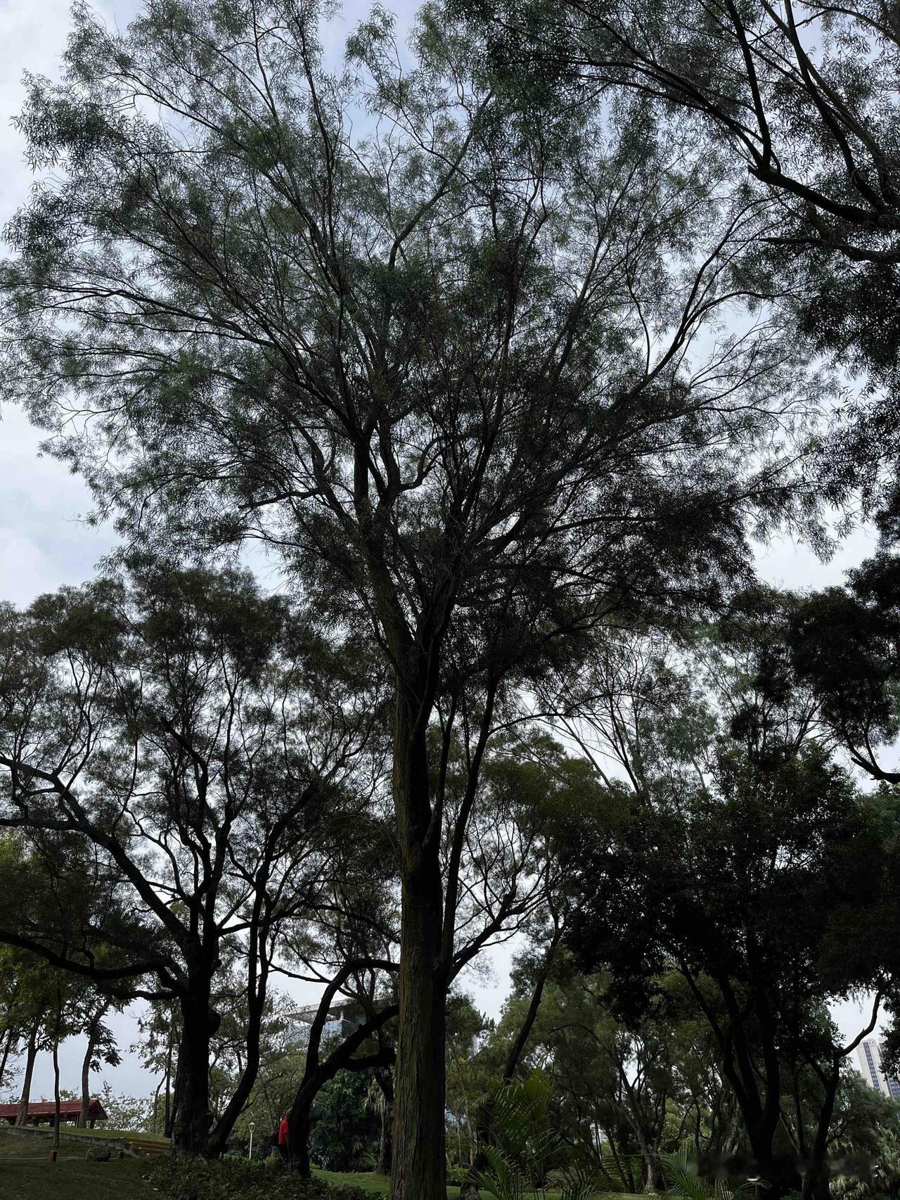 《资治通鉴》：一个人开口闭口都是仁义道德，你要注意了，这是想吃人，比直接