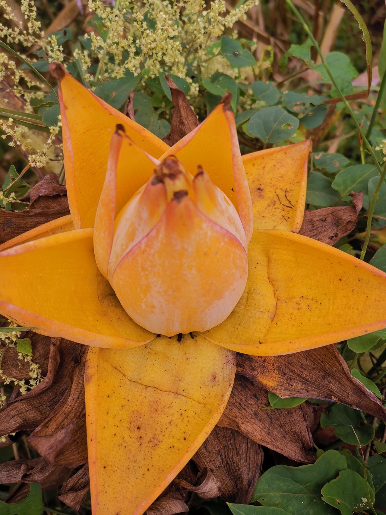 103岁寿宴上，7岁曾孙突然大喊：“太爷爷身上好臭！”一屋子人瞬间安静，姑姑