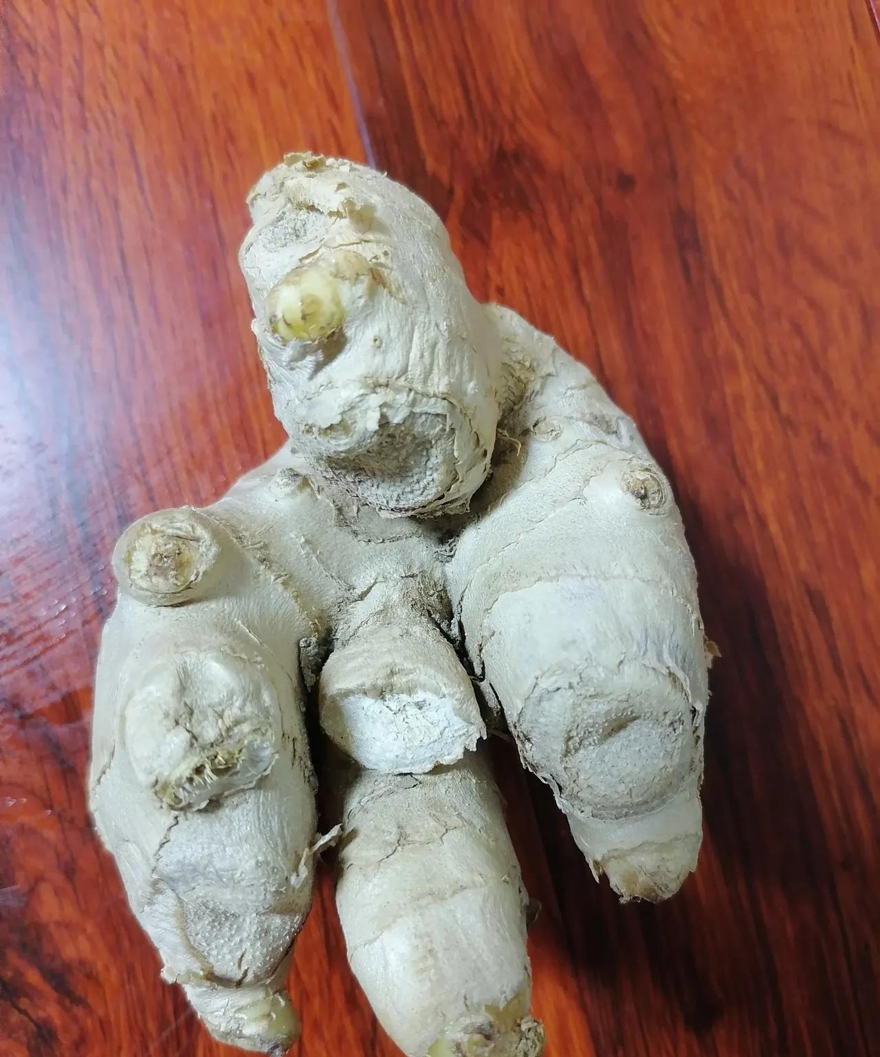 有的时候我觉得自己买了半辈子的菜，仍然买不好。今天是个下雨天，凉爽极了，好久没