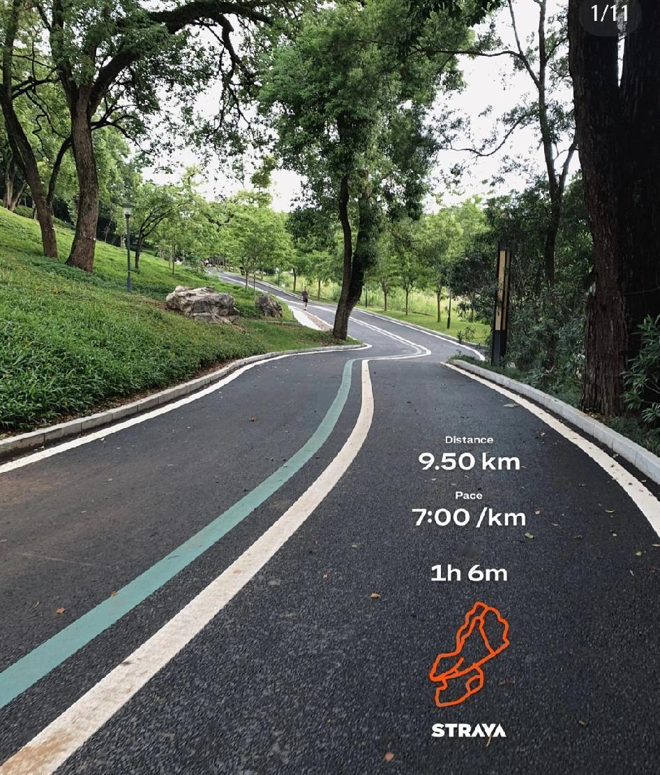 跑过十几年，我终于懂了：晨跑，才是跑步最本真的模样。跑过晨曦，也踏过暮色；