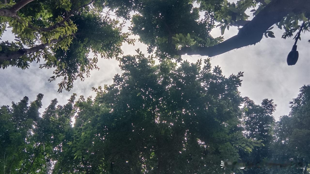 当医生的劝人别学医当老师的劝人别学选以后当老师的专业我这个学药学的，也劝别人