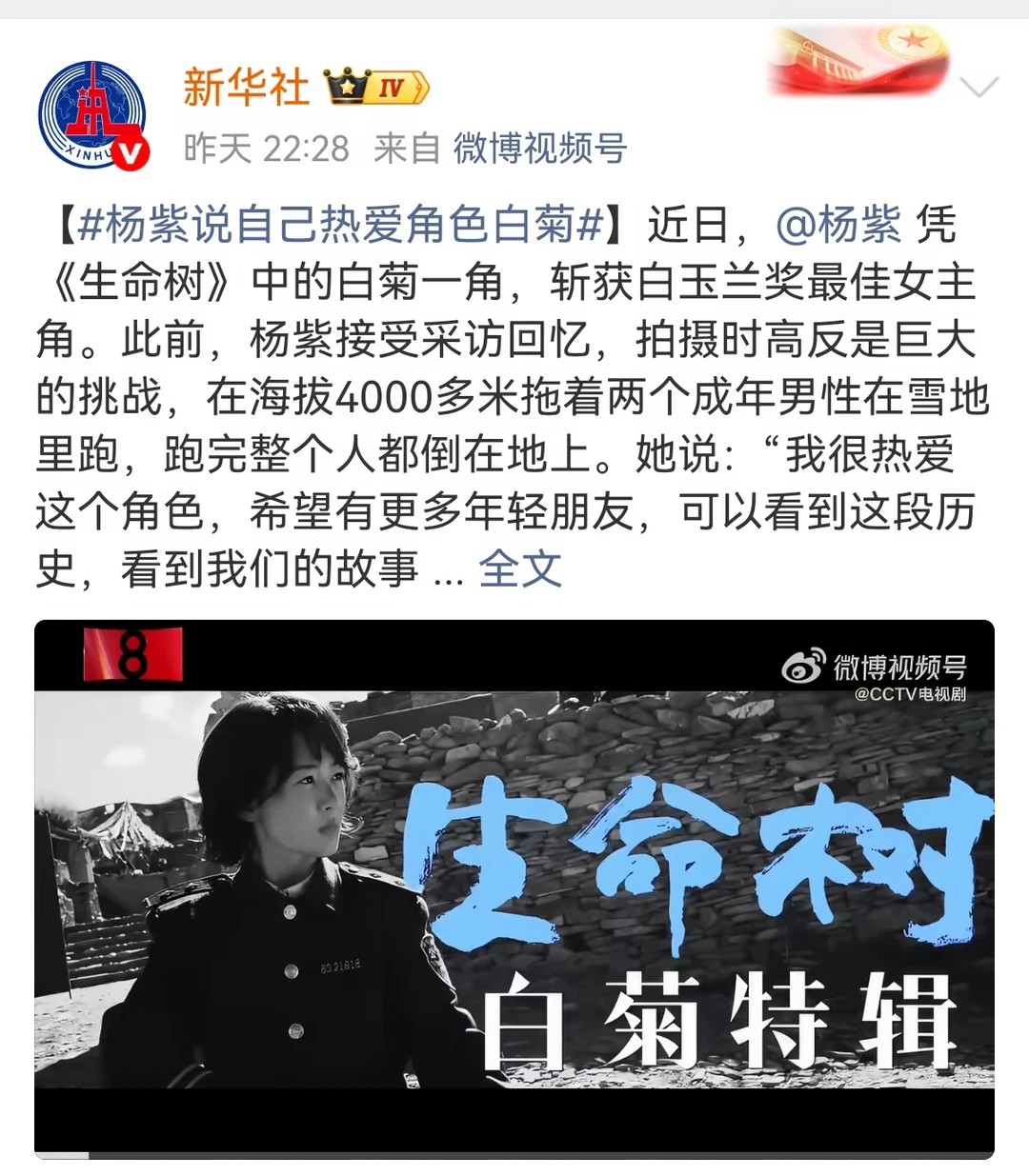 新华社深夜发文力挺杨紫｜白菊值得所有荣光