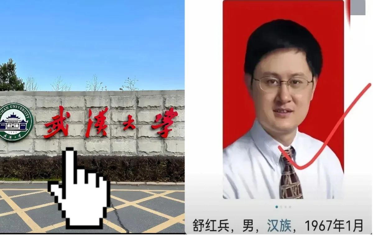 舒红兵教授被实名举报！又一武大教授被实名举报！武大教授舒红兵，因为涉嫌违