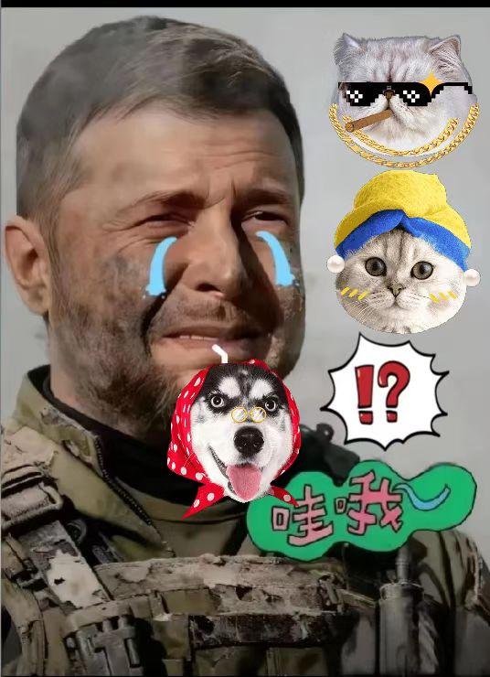 快讯乌克兰突然宣布11月13日，乌克兰外交部宣布，因缺乏成果，乌克兰方面