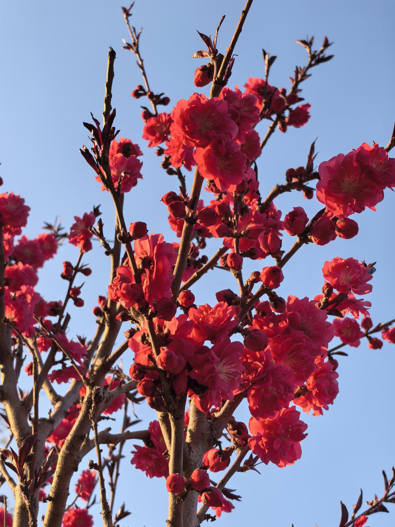 现在提取住房公积金简直是太便捷了。办理完退休手续后，问了一下单位财务科，什么时候