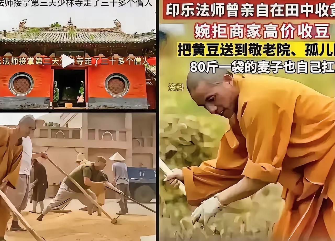 少林寺新的CEO屁股都没坐稳，就有好些和尚开始跳槽了，据说第一天就走了30多