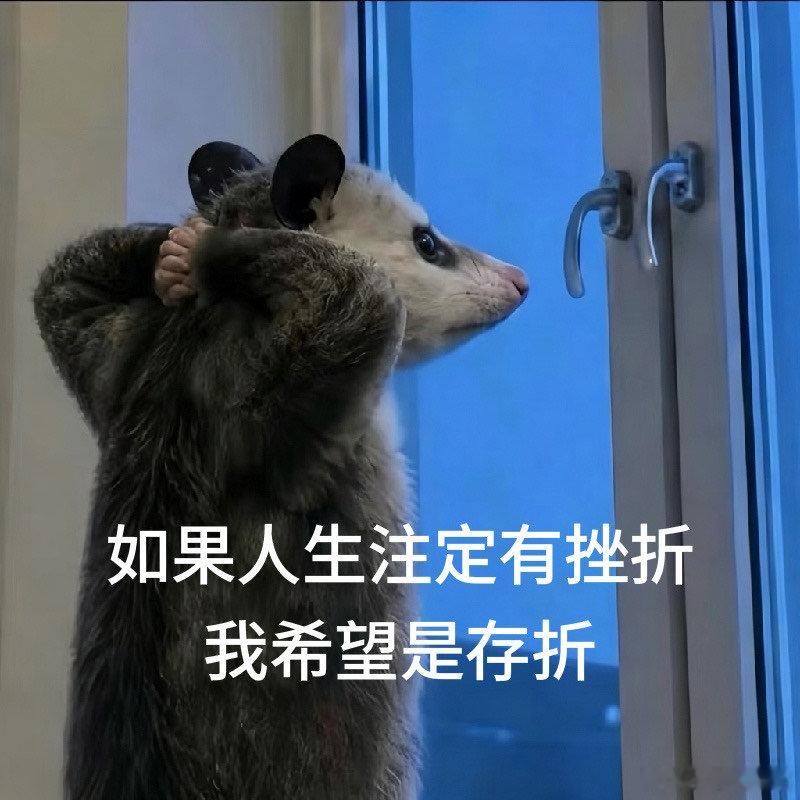 第一批爱许愿的受益者出现了现在满脑子都是晚上要去江边对着路灯许愿，就许“下周发