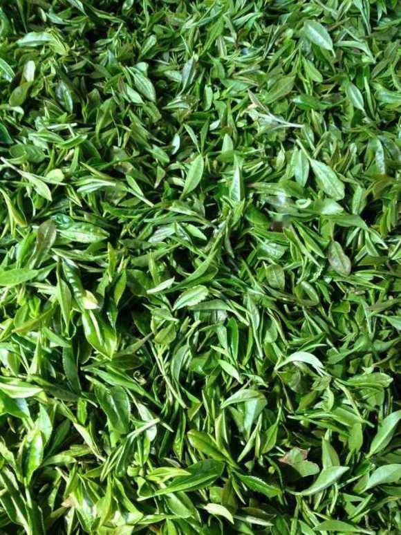网友：为了你的健康，我一万个建议你不要喝茶。原因，我们的茶叶生产主要都是小农