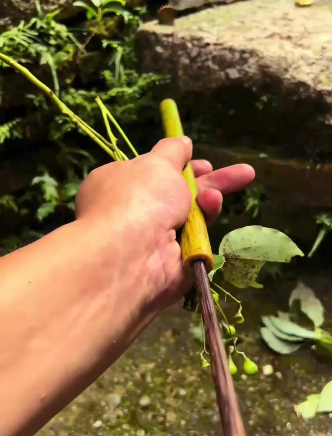 这些游戏全玩过的，现在应该都50出头了吧！那时候没有什么游戏机，没有电脑，