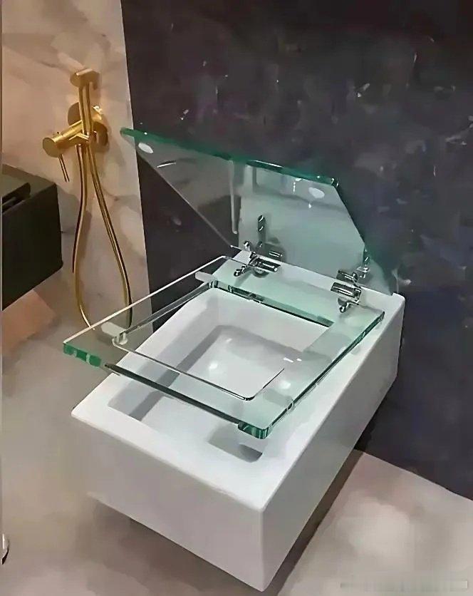 这是什么呀？有知道的吗？貌似像个马桶，你们见过这样的马桶吗？谁能懂啊？