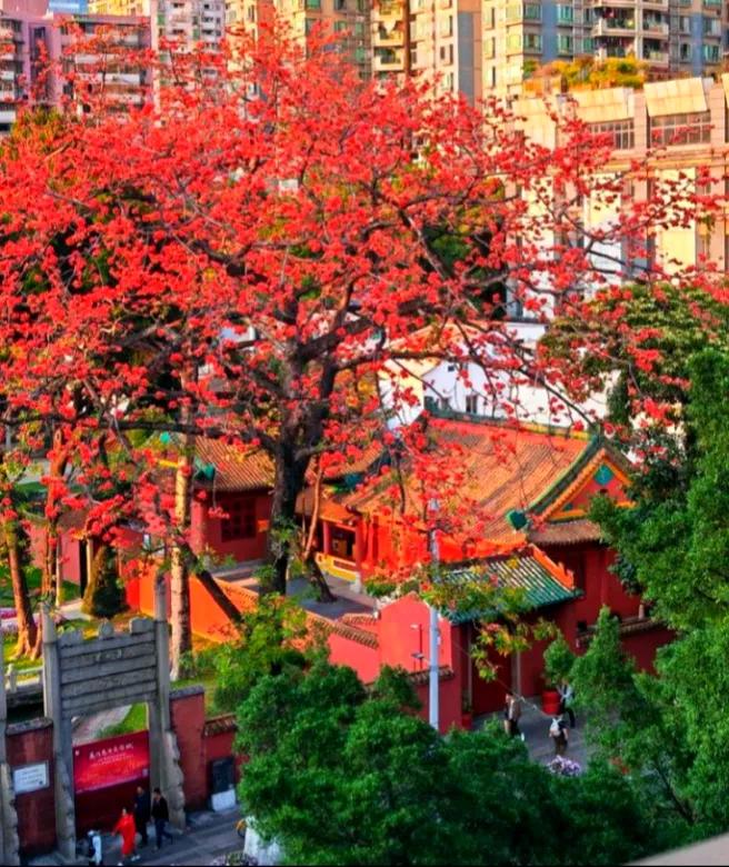 为什么很多人觉得最不像一线城市的城市就是广州市呢？其实，这主要是商业街道的布局跟