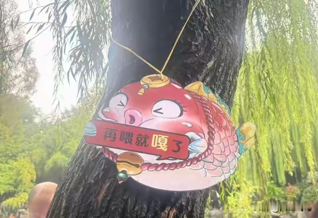 这只“猪鲤”不仅成为网络热议的焦点，更引发了人们对“健康养殖”和“自然生态”的深
