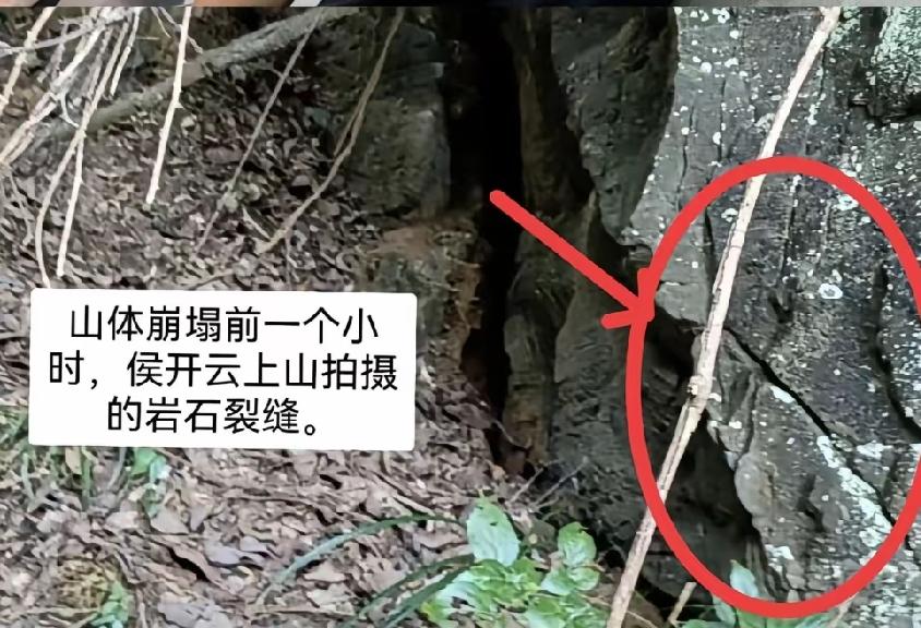 他就是第一个发现险情的人！他就是其中一栋楼的房主，住在最顶层，听到了落石声音