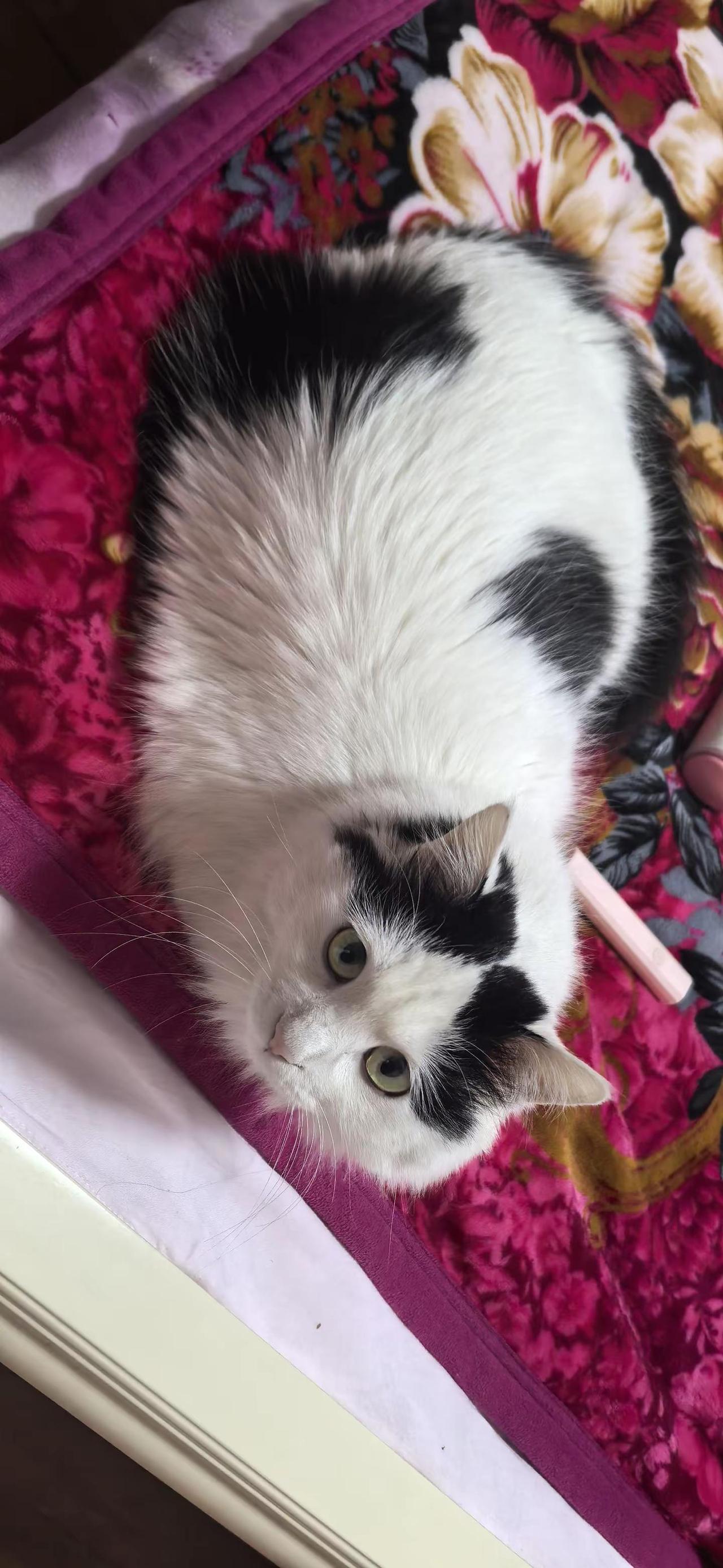 我也不说咋回事