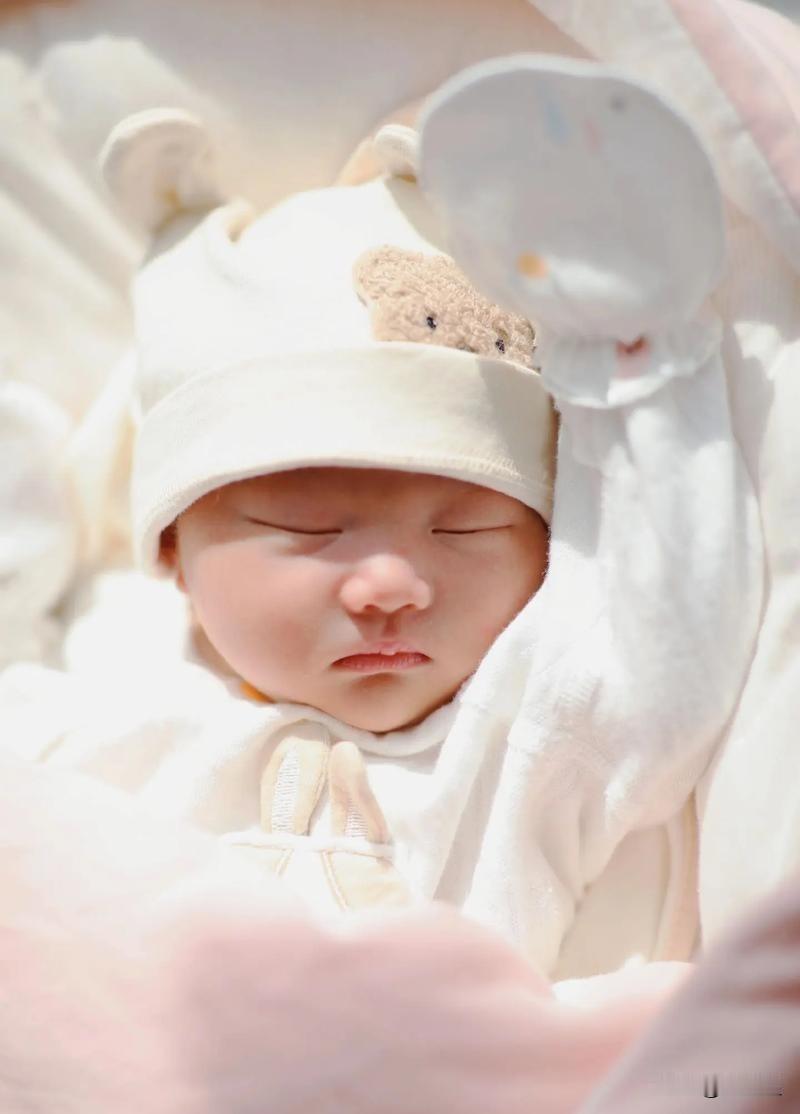 2025年中国新生儿公布了，792万！如果每年出生人口都按这个数字计算，中间不折