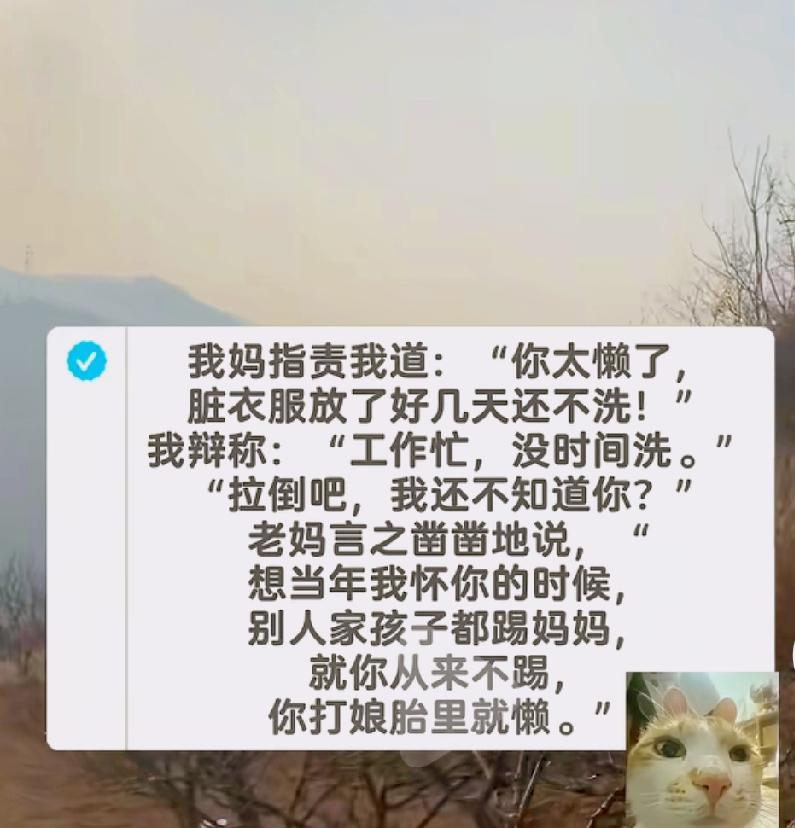 曾仕强老先生说：“真正的命好就一个字，懒。懒于攀比，够花就行，懒得内耗，开心就行