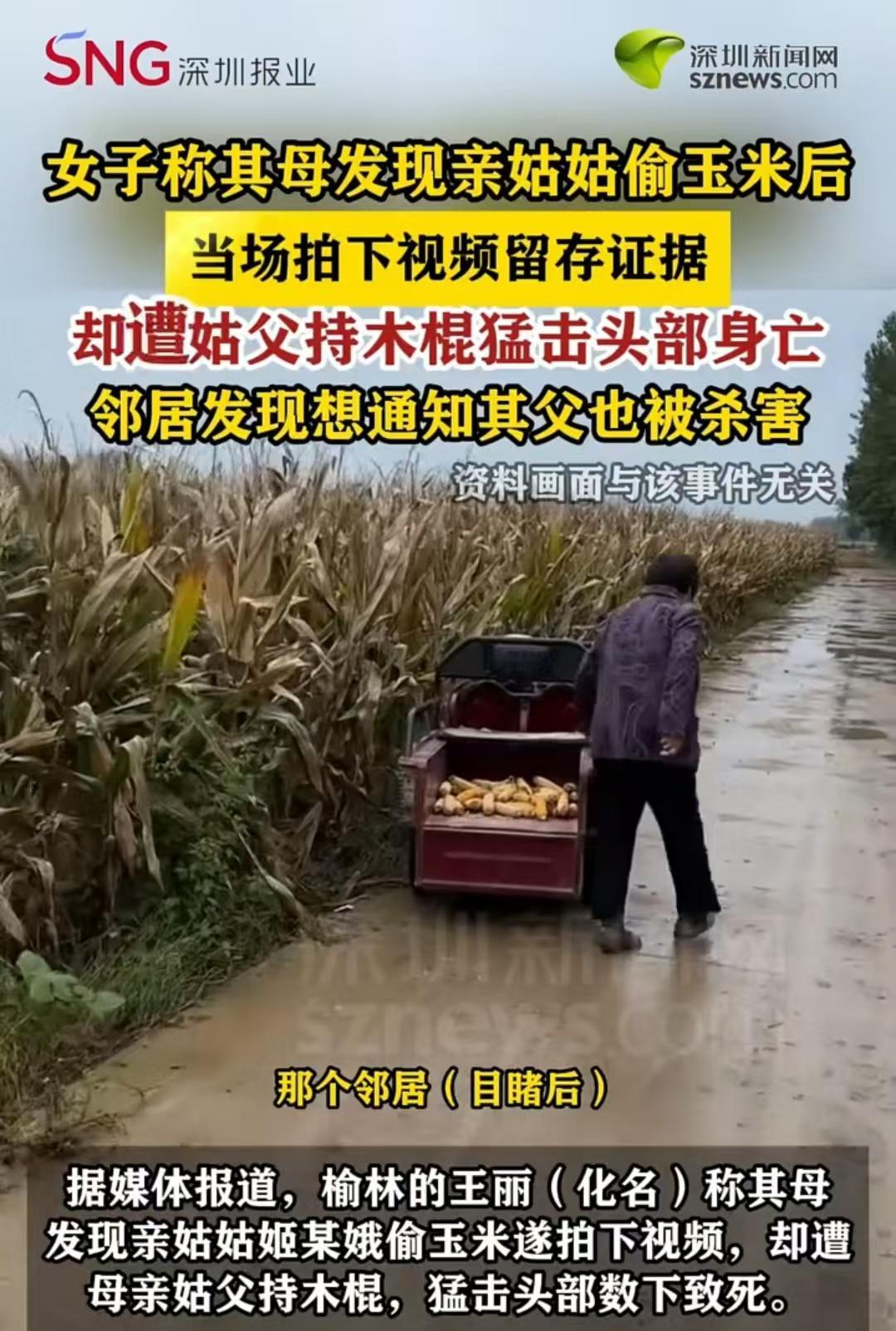 陕西，姬大妈发现75岁的姑姑正在偷自家玉米，就拍下视频留证据，结果姑父拿着棍棒朝